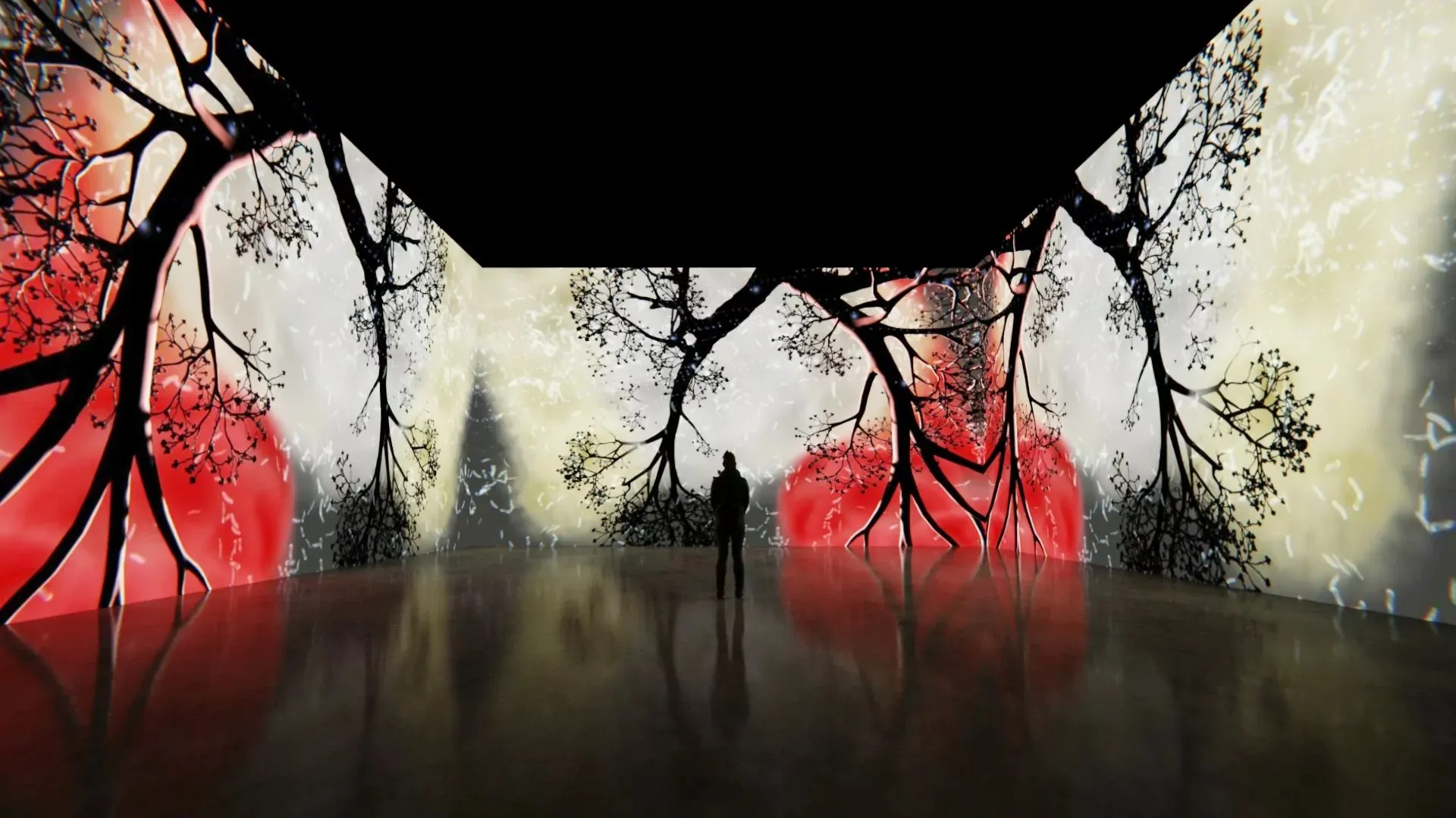 Installation view of Susceptible showing the projected lung-like environment and moving bacterial forms.