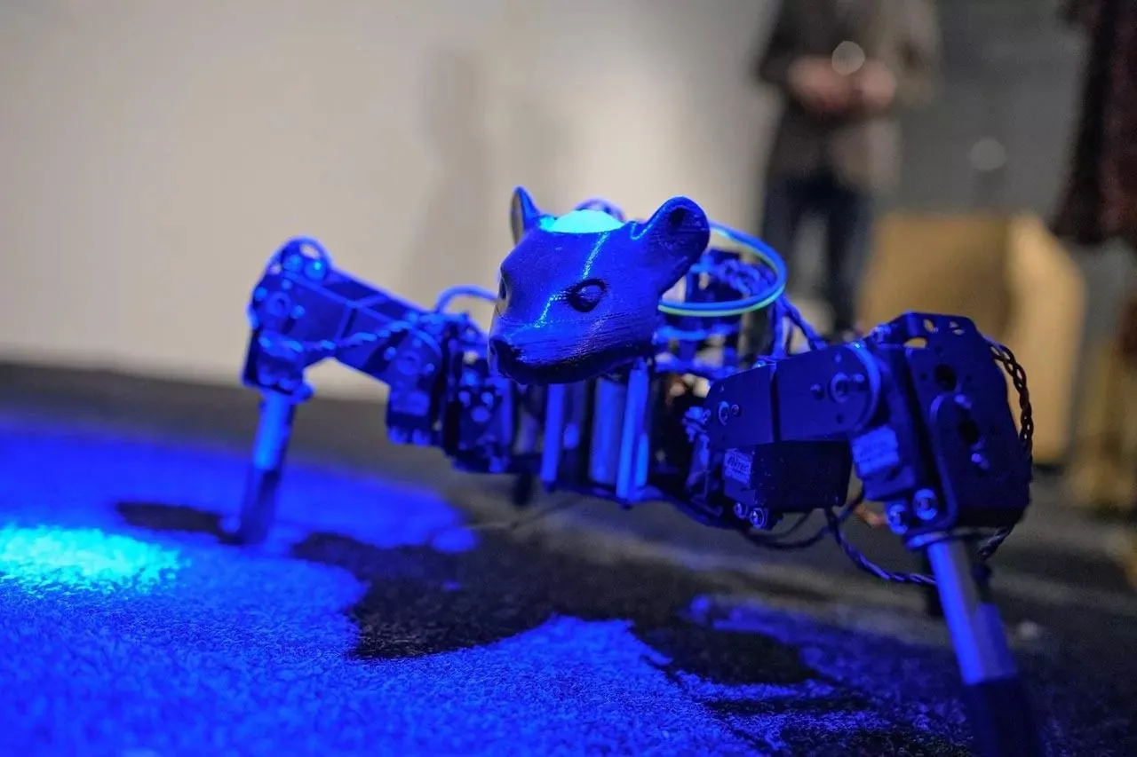 BioComputation Robots