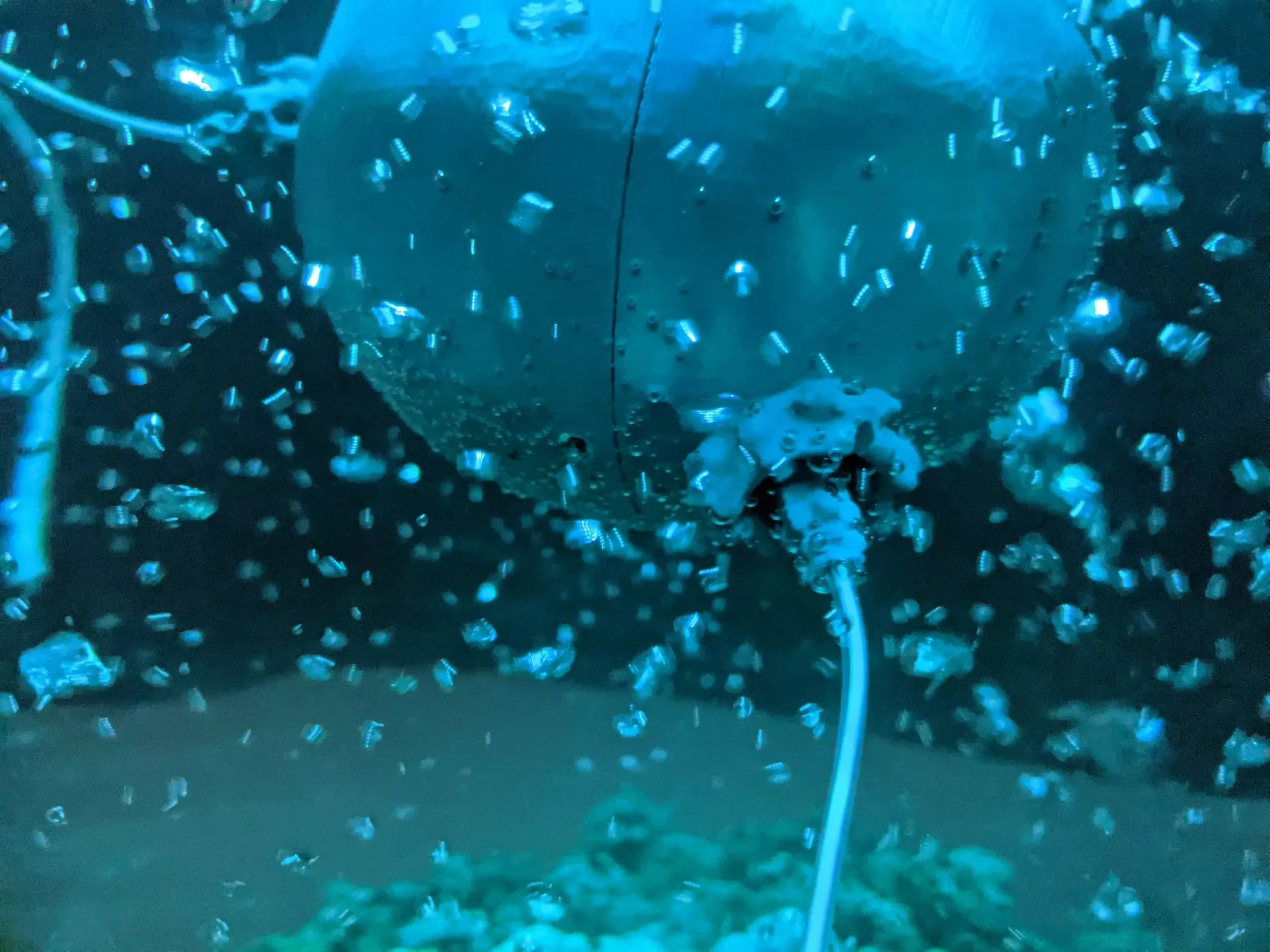 Promotional image for Under the Viral Shadow: Conference featuring ArchaeaBot.