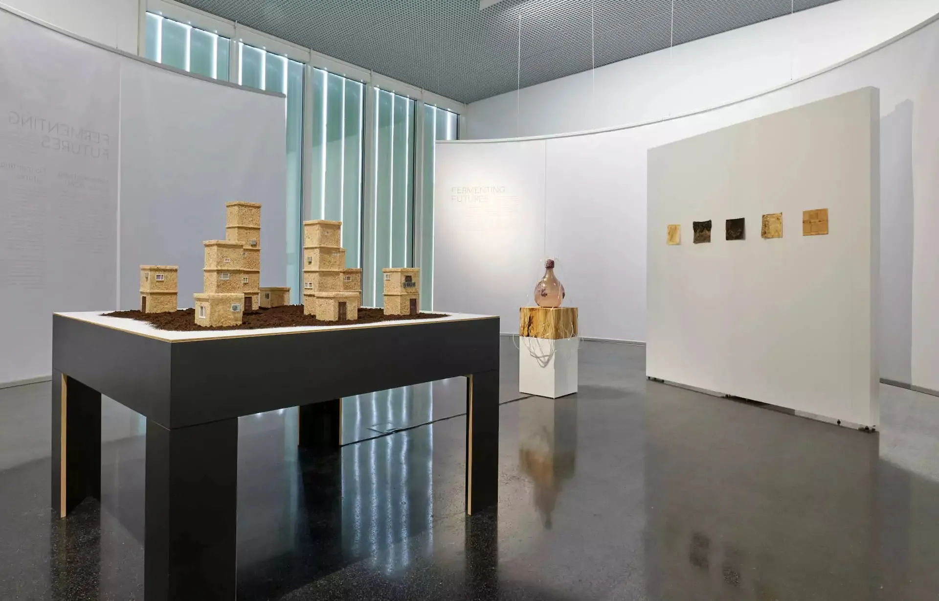 Installation view from Wunderkammer BioArt at Kunsthaus Wiesbaden showing work by Anna Dumitriu and Alex May.