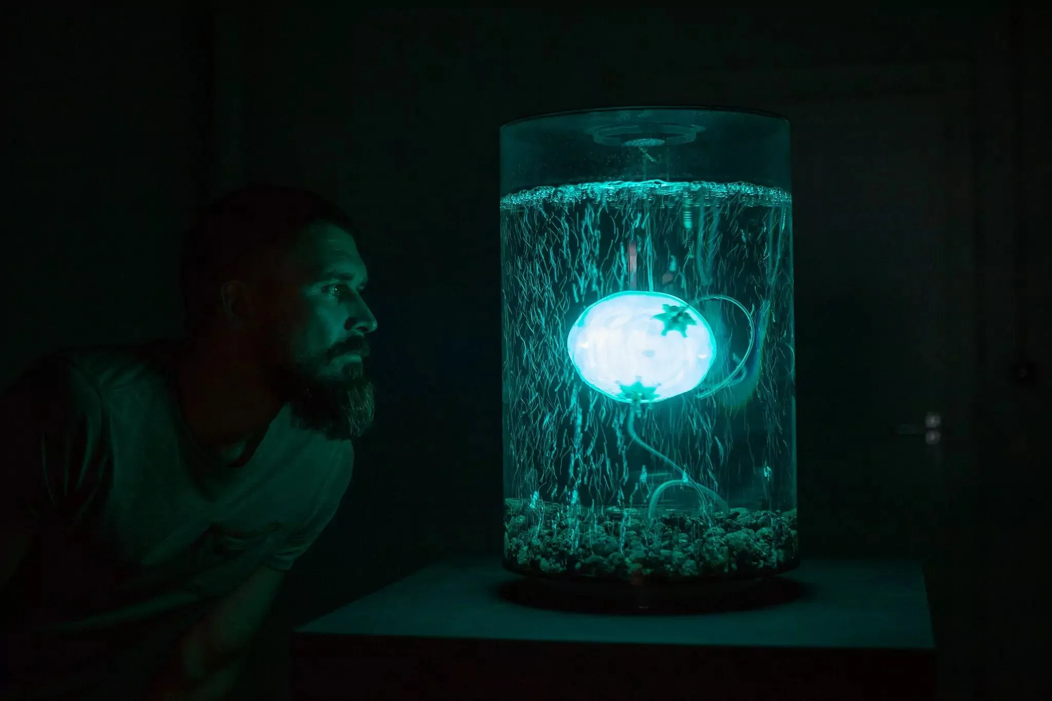 Installation view related to ArchaeaBot, used for its presentation in The Beauty of Early Life at ZKM.