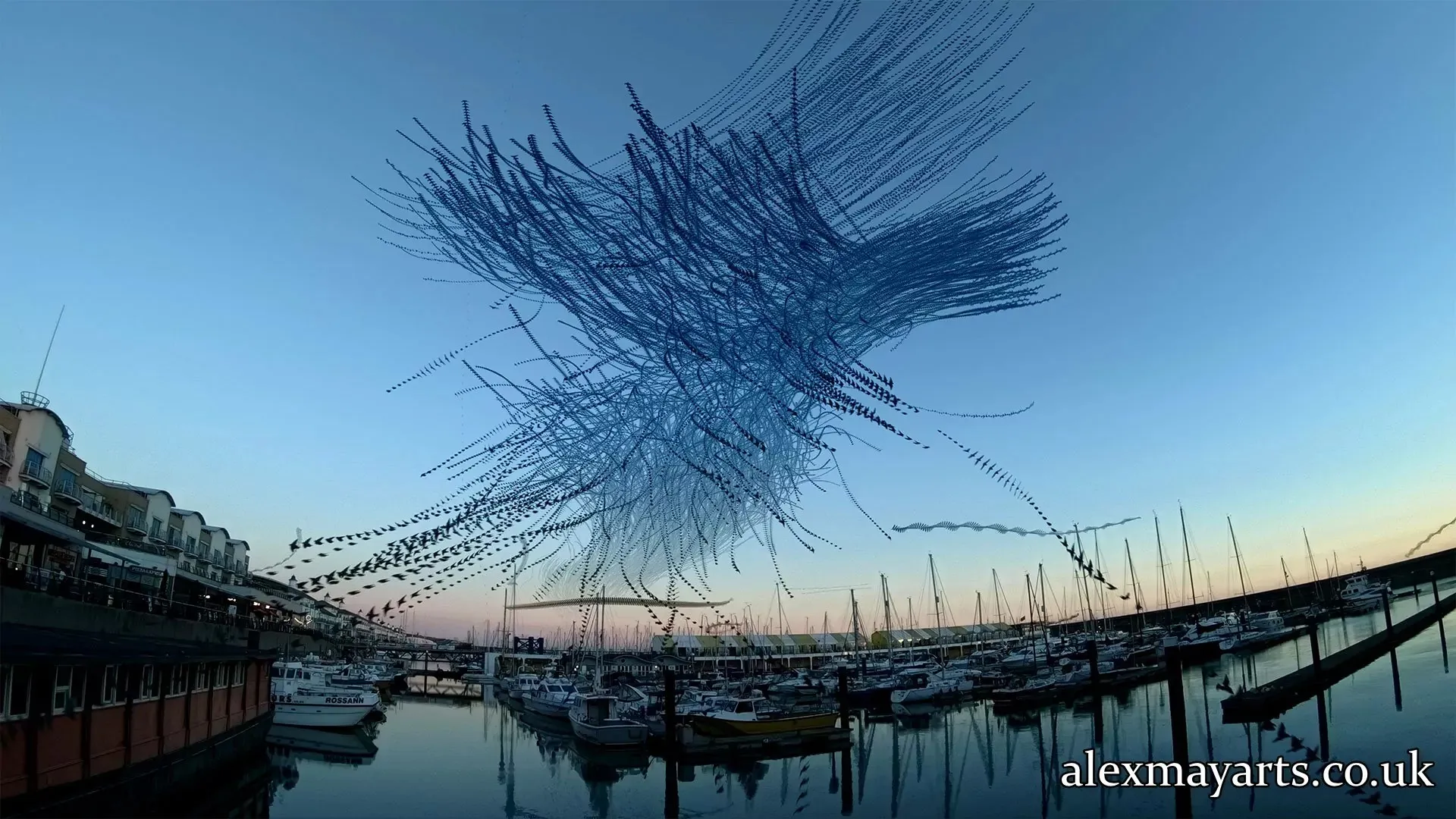 Algorithmic image of a starling murmuration above Brighton Marina, showing branching paths of movement gathered over time.