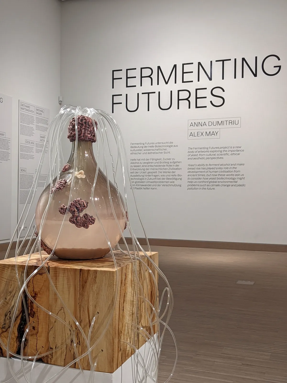 Fermenting Futures installed at Kunstlerhaus Wien with a glass vessel, tubing, and wall text.