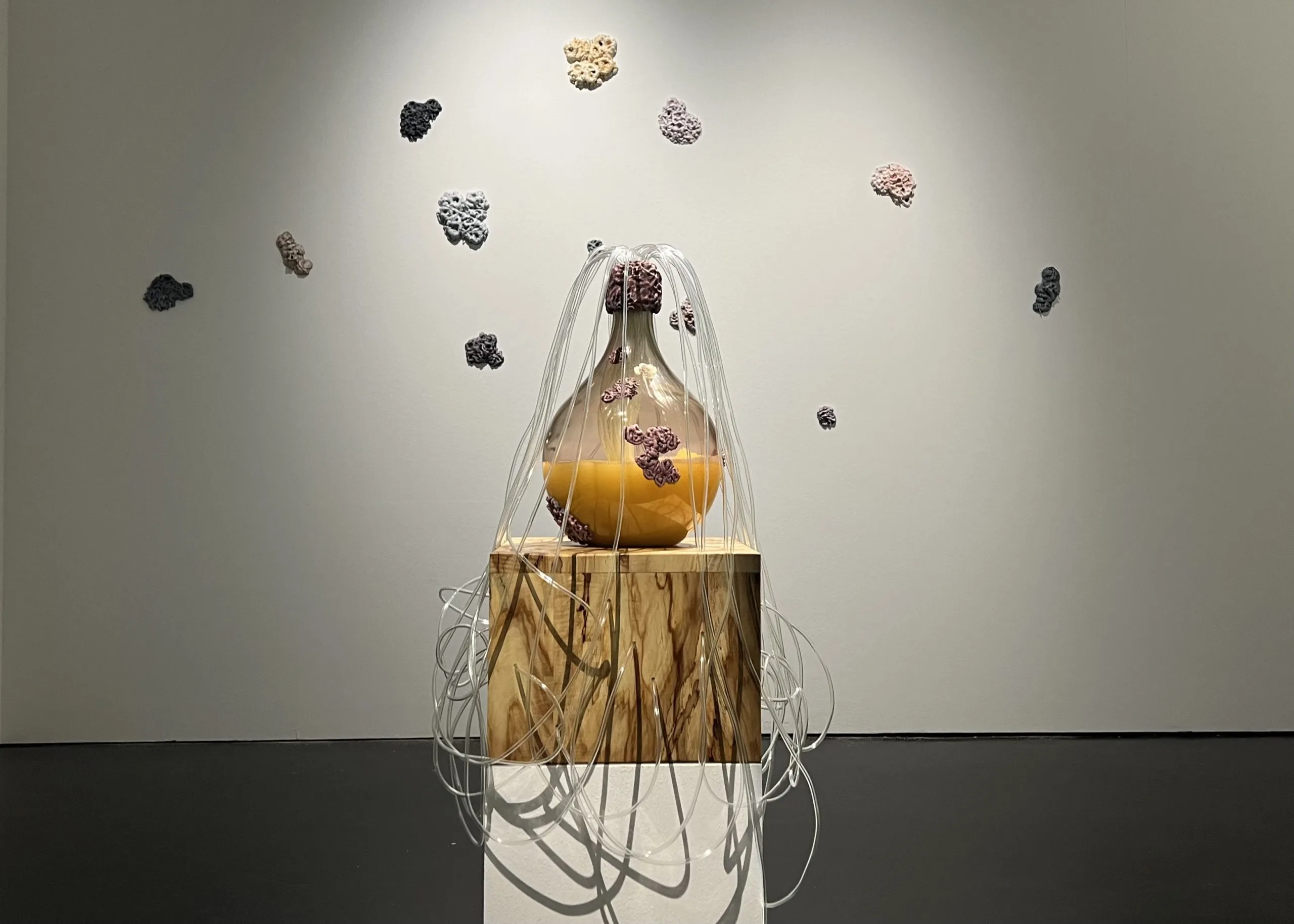 Fermenting Futures installed in Renaissance 3.0 at ZKM in Karlsruhe.